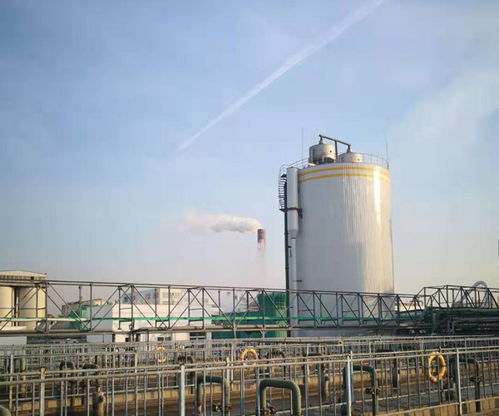 一體化厭氧罐調(diào)試全流程解析 從上饒嘉源環(huán)境工程實(shí)踐看技術(shù)要點(diǎn)